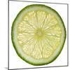 Lime Slice-Steve Gadomski-Mounted Photographic Print
