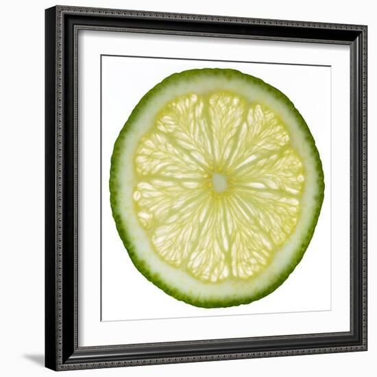 Lime Slice-Steve Gadomski-Framed Photographic Print