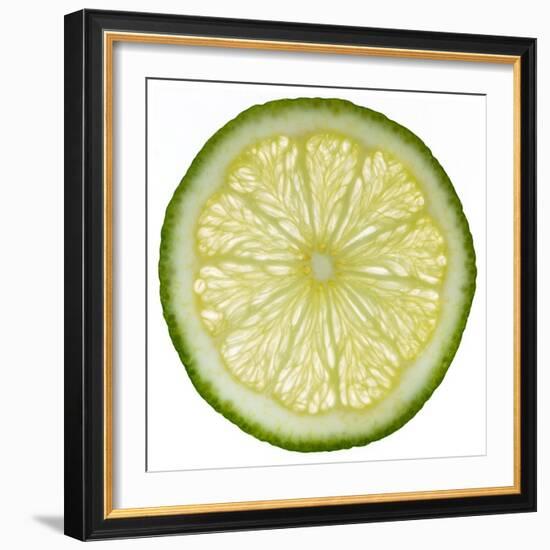 Lime Slice-Steve Gadomski-Framed Photographic Print