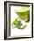 Lime Slices And Peel-Jon Stokes-Framed Photographic Print