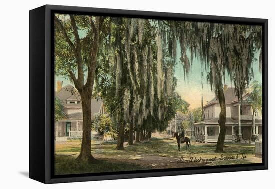 Lime Street, Lakeland, Florida-null-Framed Stretched Canvas