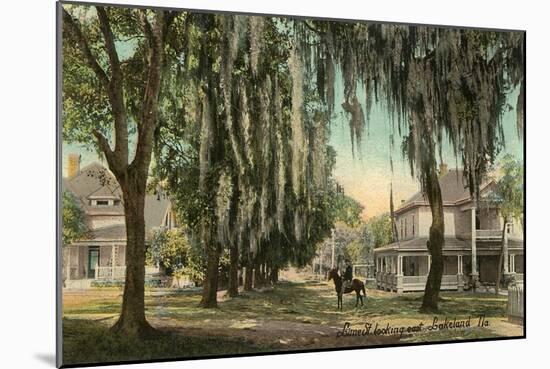 Lime Street, Lakeland, Florida-null-Mounted Art Print