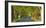 Lime tree alley, Mecklenburg Lake District, Germany-Frank Krahmer-Framed Giclee Print