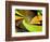 Lime Twist-Ruth Palmer-Framed Art Print