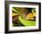 Lime Twist-Ruth Palmer-Framed Art Print