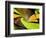 Lime Twist-Ruth Palmer-Framed Art Print