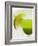 Lime Wedge on Cocktail Glass with Sugared Rim-null-Framed Photographic Print