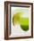 Lime Wedge on Cocktail Glass with Sugared Rim-null-Framed Photographic Print