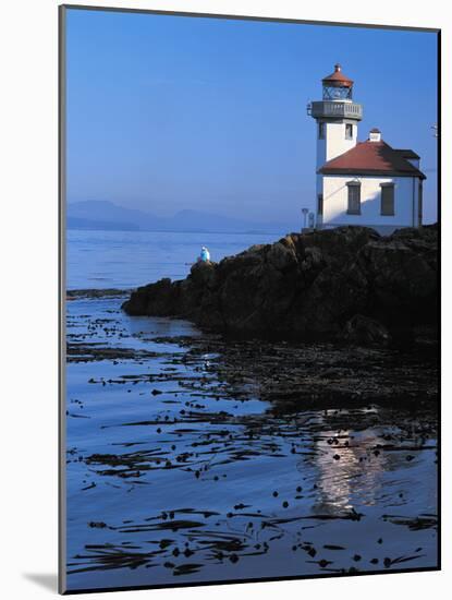 Limekiln Lighthouse-Ike Leahy-Mounted Photographic Print