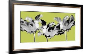 Limelight I-Linda Wood-Framed Giclee Print