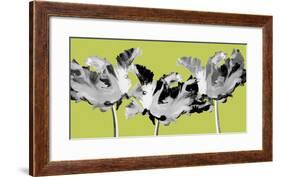 Limelight I-Linda Wood-Framed Giclee Print