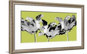 Limelight I-Linda Wood-Framed Giclee Print