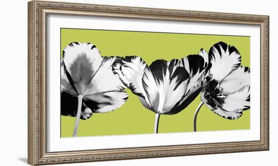 Limelight II-Linda Wood-Framed Giclee Print