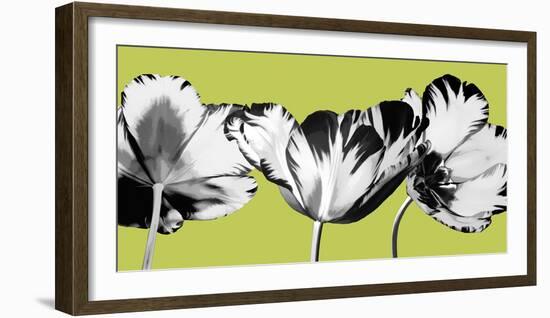 Limelight II-Linda Wood-Framed Giclee Print