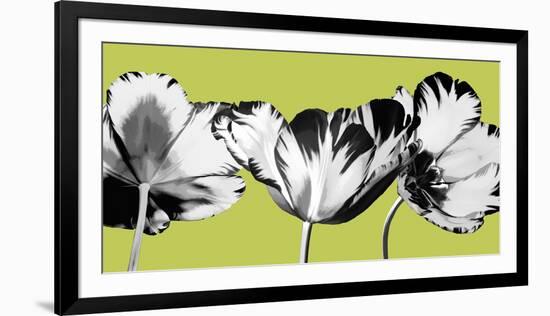 Limelight II-Linda Wood-Framed Giclee Print