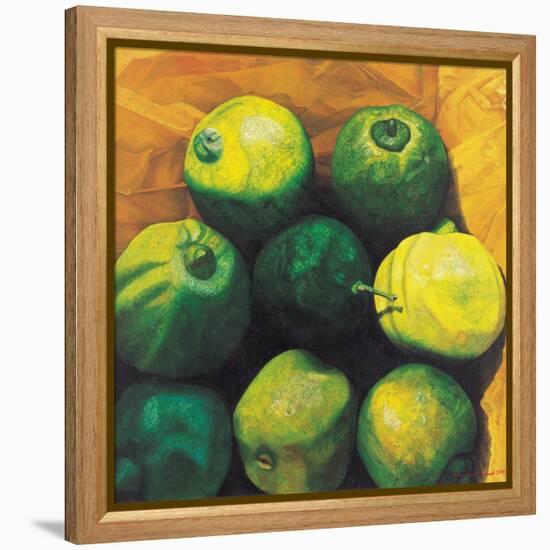 Limes, 2004-Pedro Diego Alvarado-Framed Premier Image Canvas