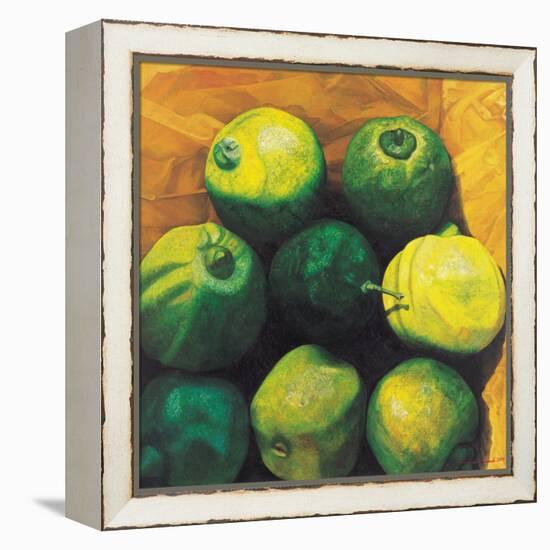 Limes, 2004-Pedro Diego Alvarado-Framed Premier Image Canvas