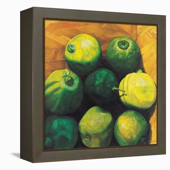 Limes, 2004-Pedro Diego Alvarado-Framed Premier Image Canvas