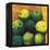 Limes, 2004-Pedro Diego Alvarado-Framed Premier Image Canvas