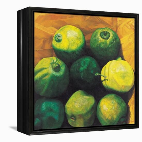 Limes, 2004-Pedro Diego Alvarado-Framed Premier Image Canvas