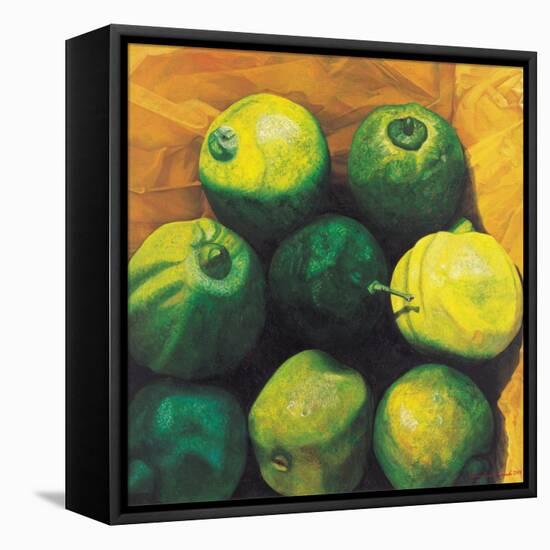 Limes, 2004-Pedro Diego Alvarado-Framed Premier Image Canvas