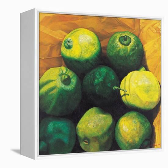 Limes, 2004-Pedro Diego Alvarado-Framed Premier Image Canvas