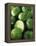 Limes, Several Whole and One Halved-Vladimir Shulevsky-Framed Premier Image Canvas