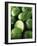 Limes, Several Whole and One Halved-Vladimir Shulevsky-Framed Photographic Print