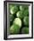 Limes, Several Whole and One Halved-Vladimir Shulevsky-Framed Photographic Print