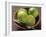 Limes, Two Whole and One Halved in a Small Basket-Eising Studio - Food Photo and Video-Framed Photographic Print