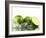 Limes with Splashing Water-Michael L?ffler-Framed Photographic Print