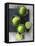 Limes-Jan-peter Westermann-Framed Premier Image Canvas