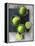 Limes-Jan-peter Westermann-Framed Premier Image Canvas