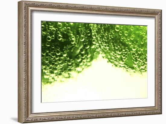 Limes-Carrie Webster-Framed Photographic Print