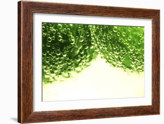 Limes-Carrie Webster-Framed Photographic Print