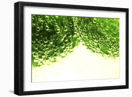 Limes-Carrie Webster-Framed Photographic Print