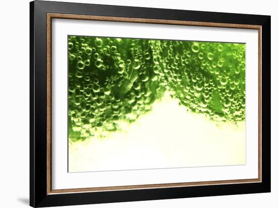 Limes-Carrie Webster-Framed Photographic Print