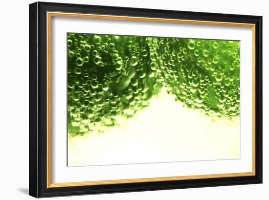 Limes-Carrie Webster-Framed Photographic Print