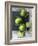 Limes-Jan-peter Westermann-Framed Photographic Print