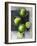 Limes-Jan-peter Westermann-Framed Photographic Print