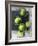 Limes-Jan-peter Westermann-Framed Photographic Print