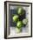 Limes-Jan-peter Westermann-Framed Photographic Print