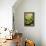 Limes-Karyn Millet-Framed Premier Image Canvas displayed on a wall