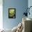 Limes-Karyn Millet-Framed Premier Image Canvas displayed on a wall