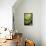 Limes-Karyn Millet-Framed Premier Image Canvas displayed on a wall