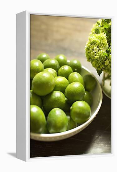 Limes-Karyn Millet-Framed Premier Image Canvas