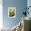 Limes-Karyn Millet-Framed Photographic Print displayed on a wall