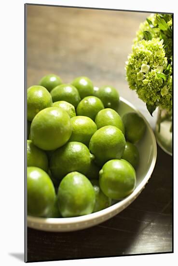 Limes-Karyn Millet-Mounted Photographic Print