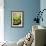 Limes-Karyn Millet-Framed Photographic Print displayed on a wall