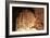 Limestone Cavern Formations-Four Oaks-Framed Photographic Print